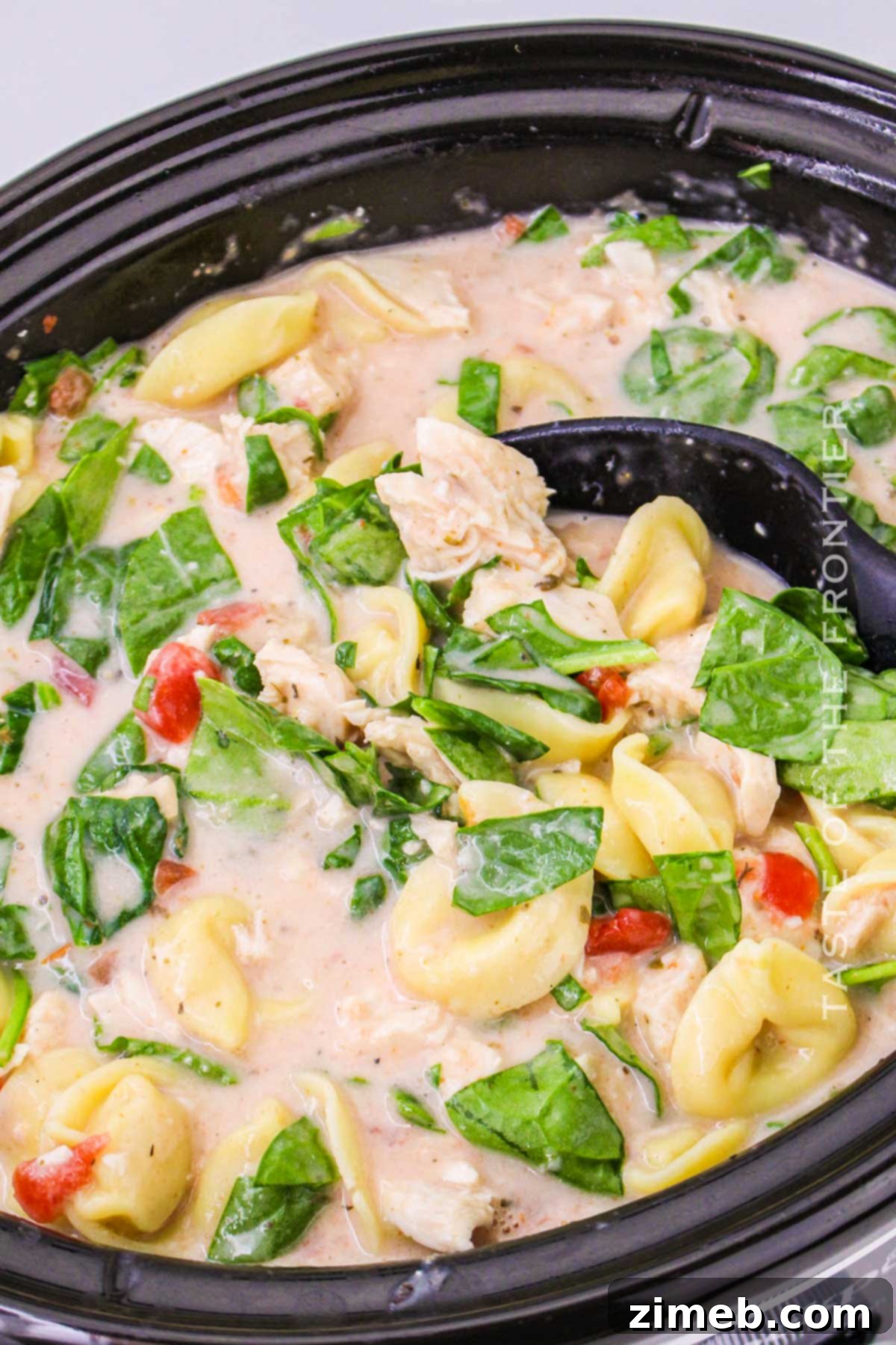 Close-up of creamy pasta soup