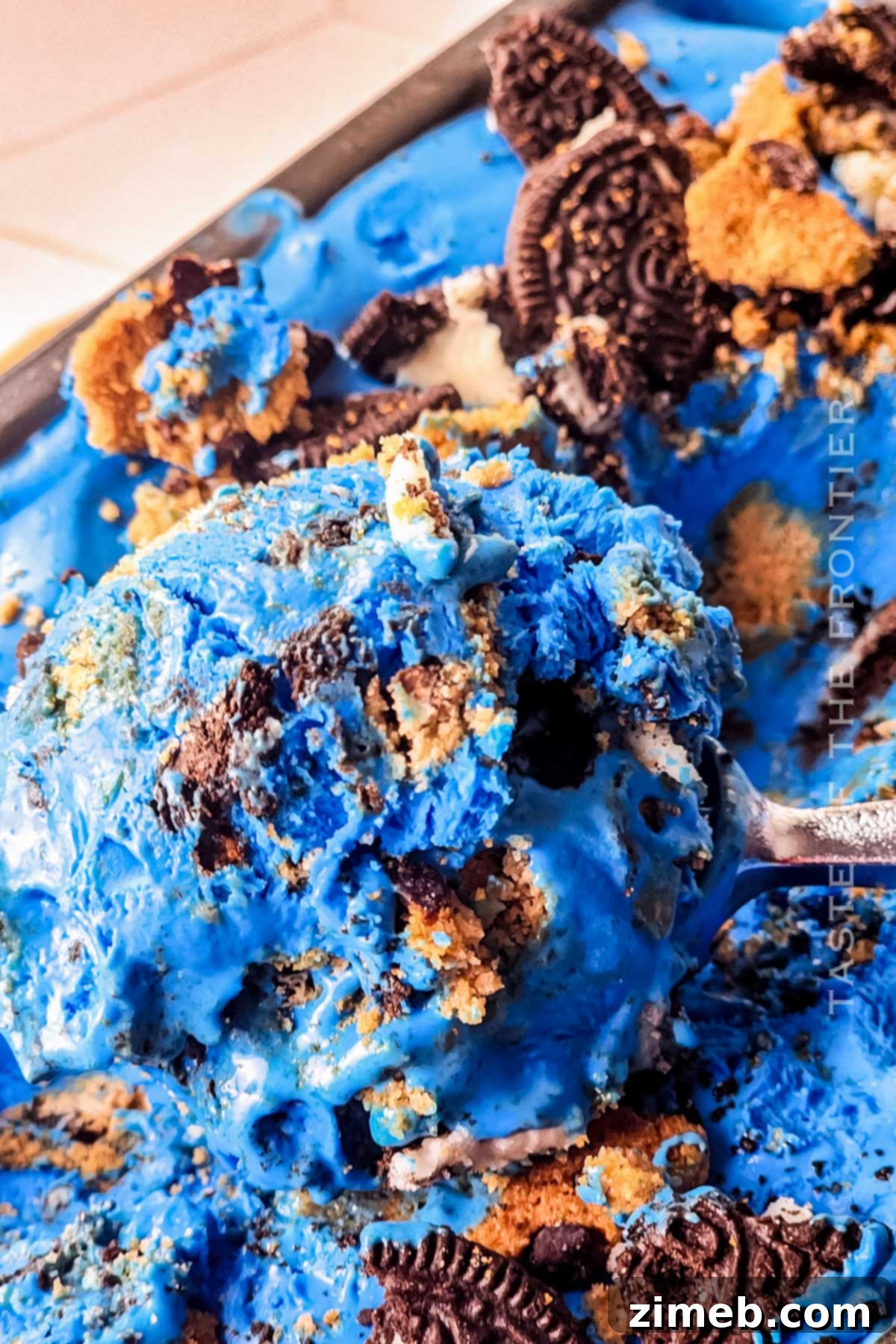 Monster Cookie Mania 15 Frozen dessert with cookies on top, Cookie Monster Ice Cream.