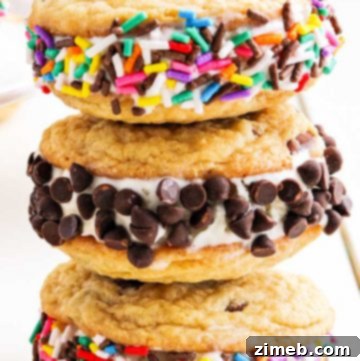 Monster Cookie Mania 9 ice cream sandwiches