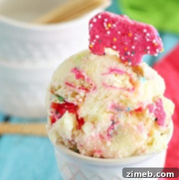 Monster Cookie Mania 10 Circus Animal Cookie Ice Cream