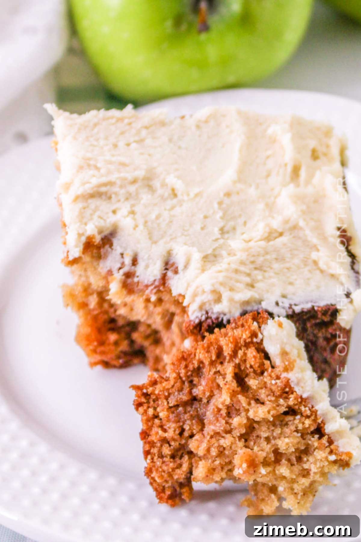 Frosted Spiced Applesauce Cake
