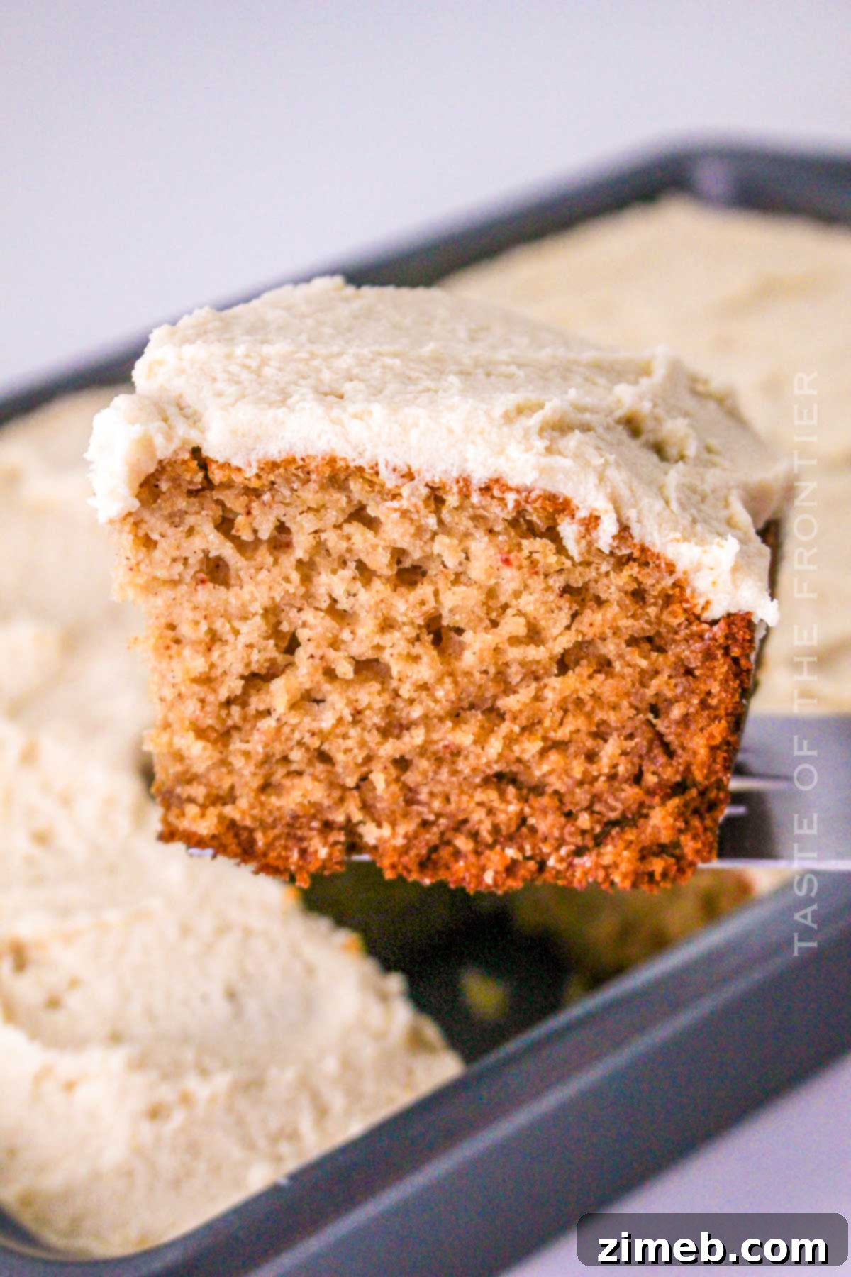 Applesauce Cake Recipe Overview