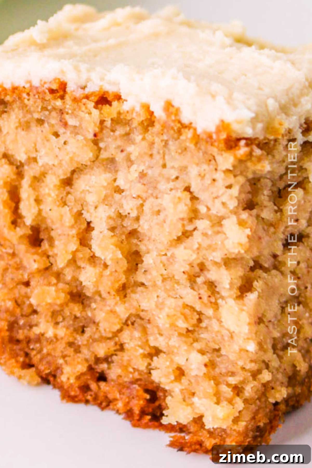 Easy Fall Dessert: Applesauce Cake