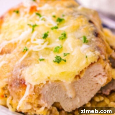 Chicken Parmesan Alfredo