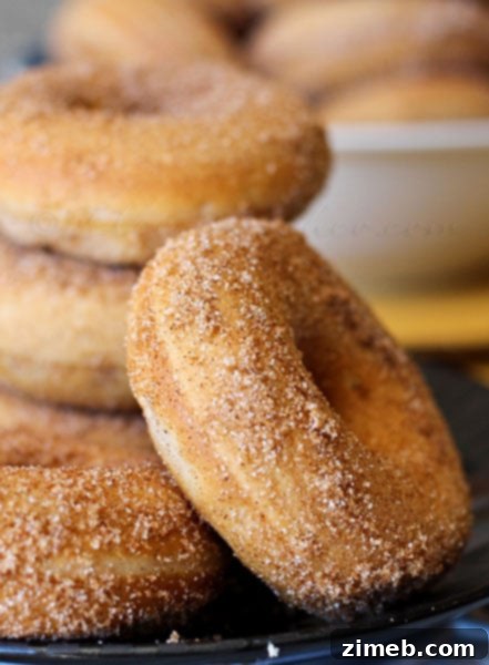 Baked Churro Donuts