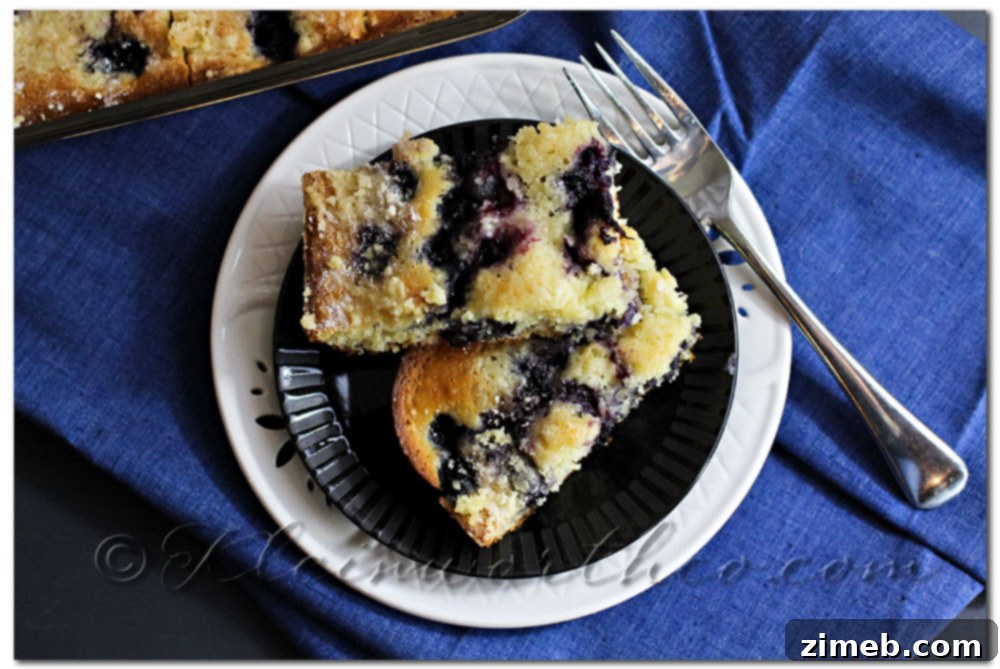 Blueberry Pie Coffee Cake