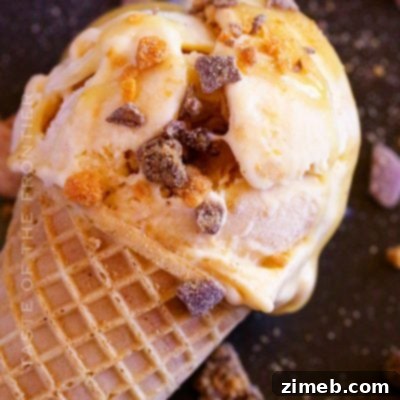 Reese's Peanut Butter Ice Cream Dream 14 Butterscotch Ice Cream recipe