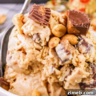 Reese's Peanut Butter Ice Cream Dream 16 Reese's Peanut Butter Ice Cream
