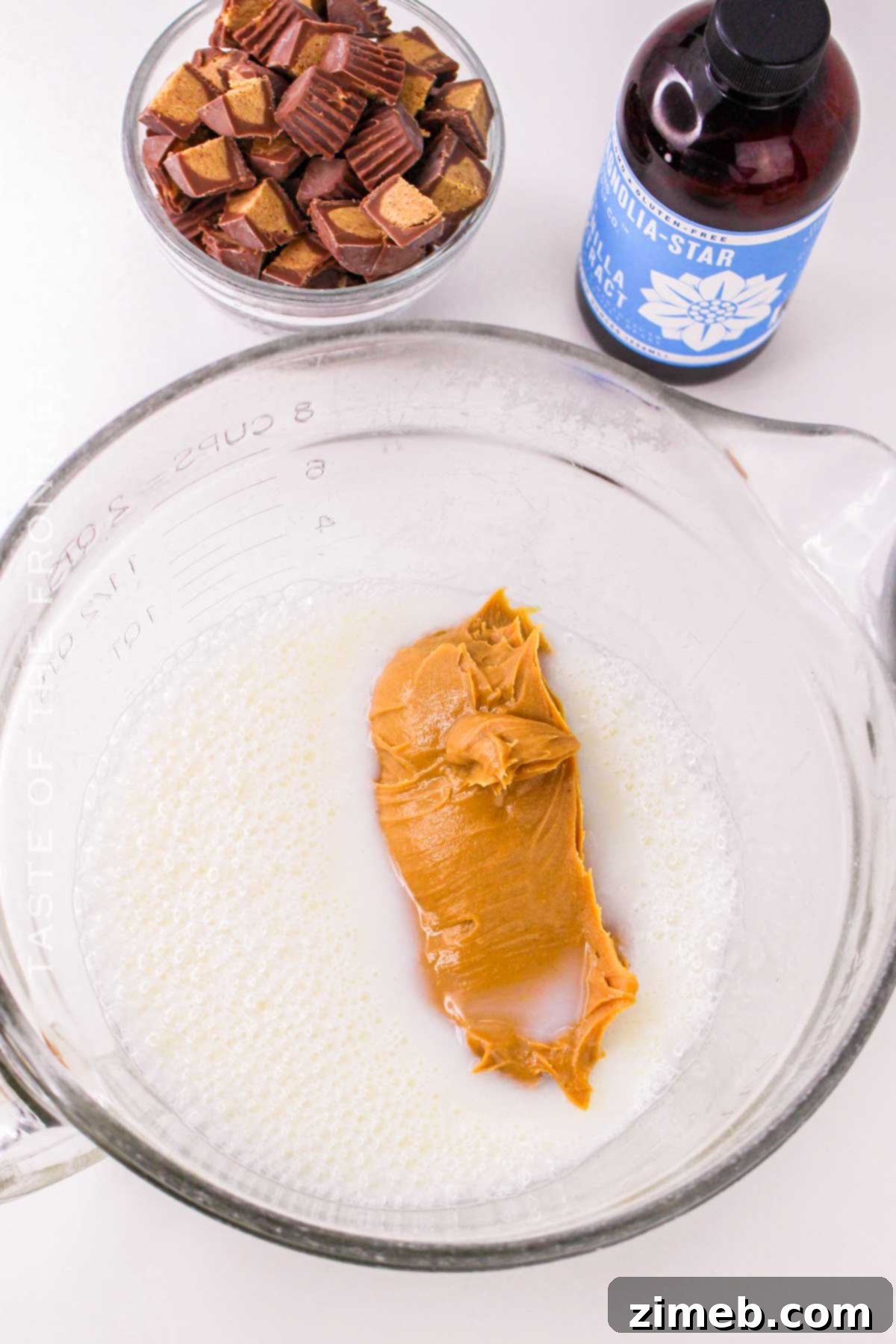 Reese's Peanut Butter Ice Cream Dream 5 making the homemade ice cream