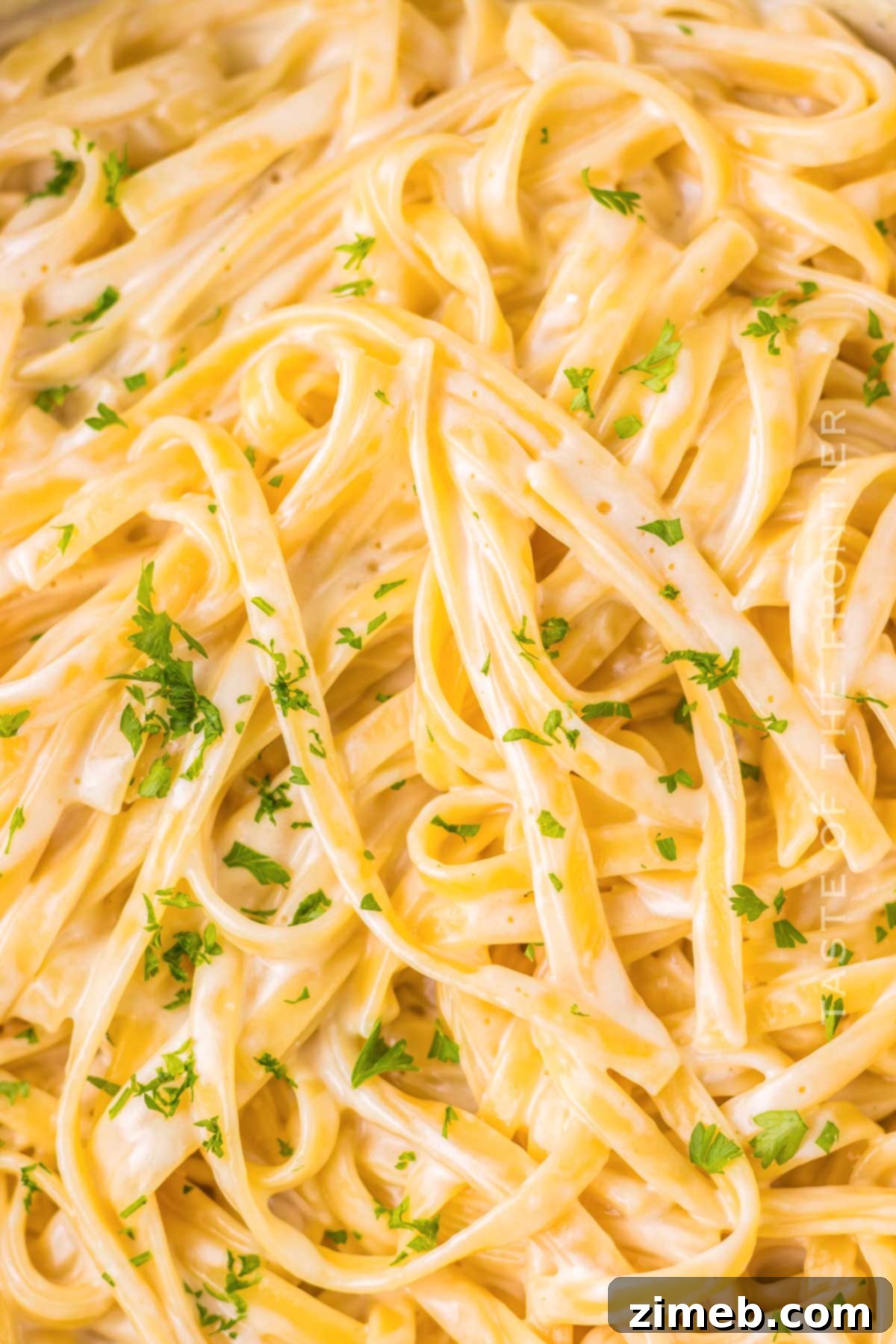 Chicken Fettuccine Alfredo 2 Copycat Chicken Fettuccine Alfredo from Olive Garden