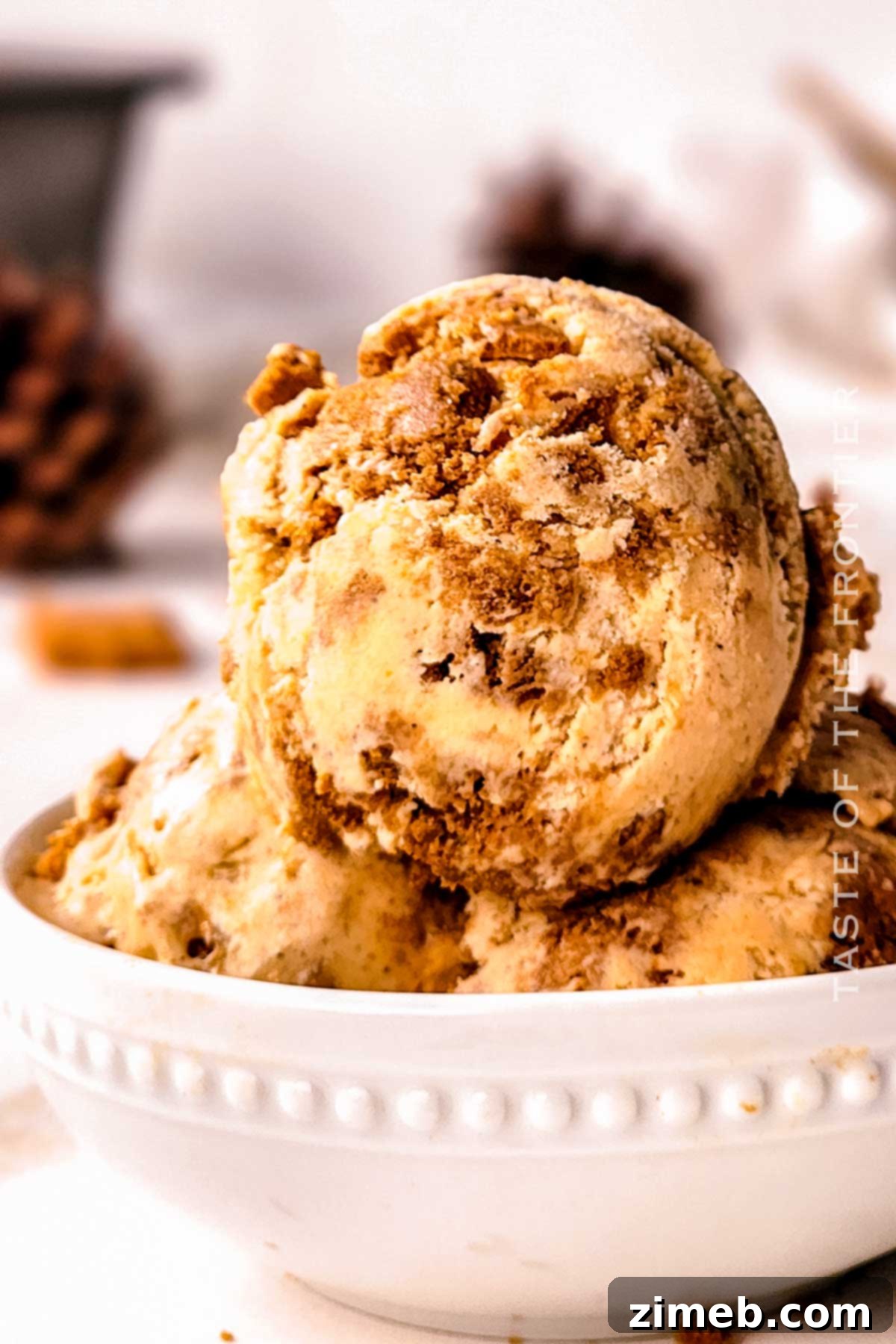 Close-up of a serving of Pumpkin Pie Ice Cream