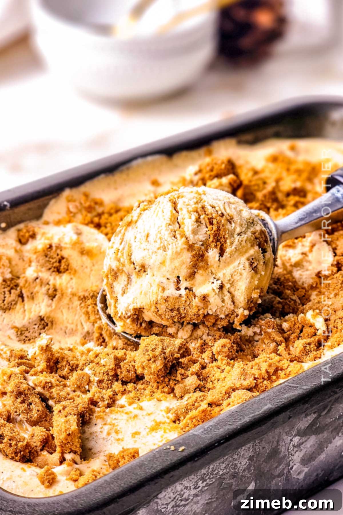 Festive frozen treat for the holidays: Pumpkin Pie Ice Cream