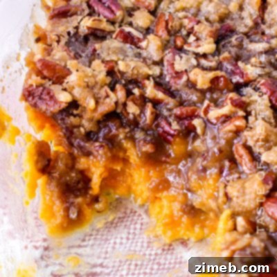 Velvet Pumpkin Risotto 13 Sweet Potato Casserole with Canned Yams