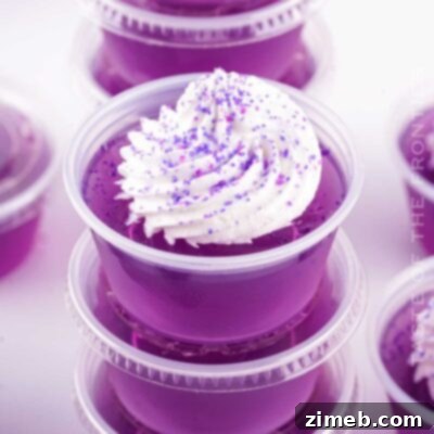Crafting the Perfect Purple Hooter Shot 18 Purple Hooter Shot Recipe