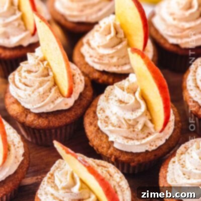 Apple Cider Cupcakes