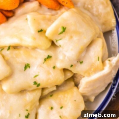 Cracker Barrel Chicken & Dumplings: Homemade Perfection 16 Copycat Cracker Barrel Chicken and Dumplings