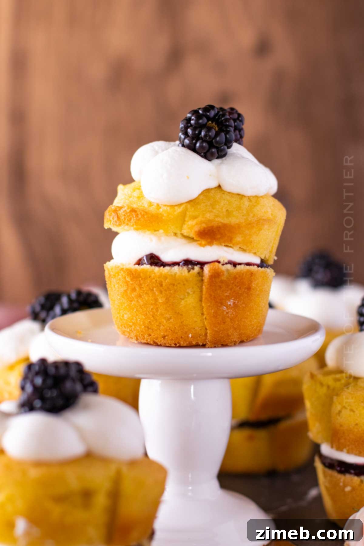 sponge cake dessert
