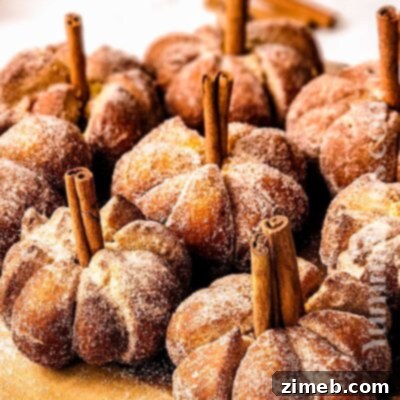 Warm Pumpkin Spice Donuts 15 Pumpkin Donuts