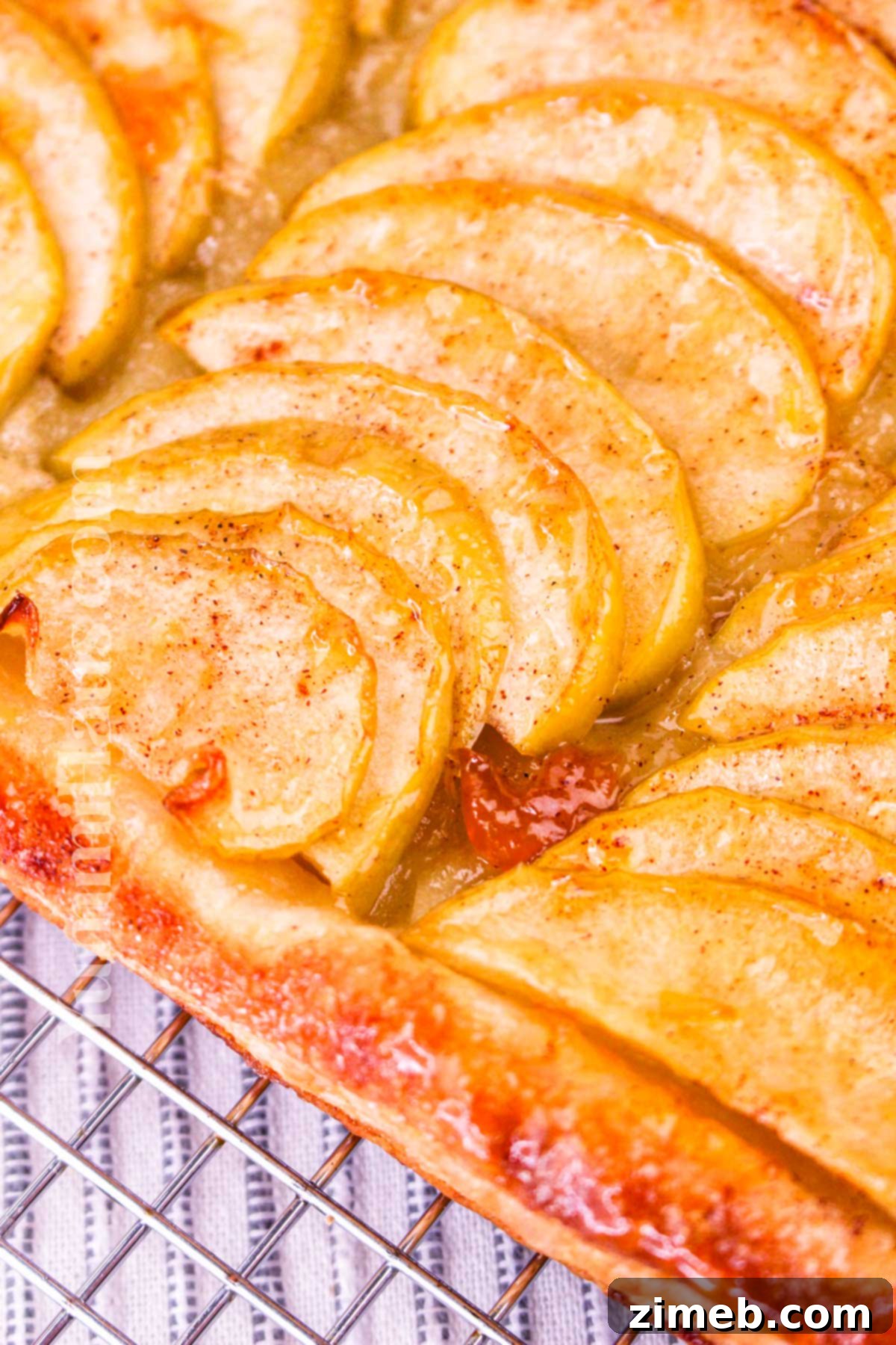 Delight in the crispy, flaky layers topped with sweet, caramelized apples in this easy-to-make Apple Tart Using Puff Pastry. Achieve golden perfection with this simple recipe.