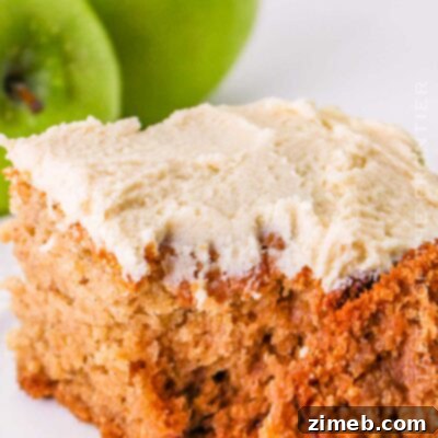 Applesauce Cake