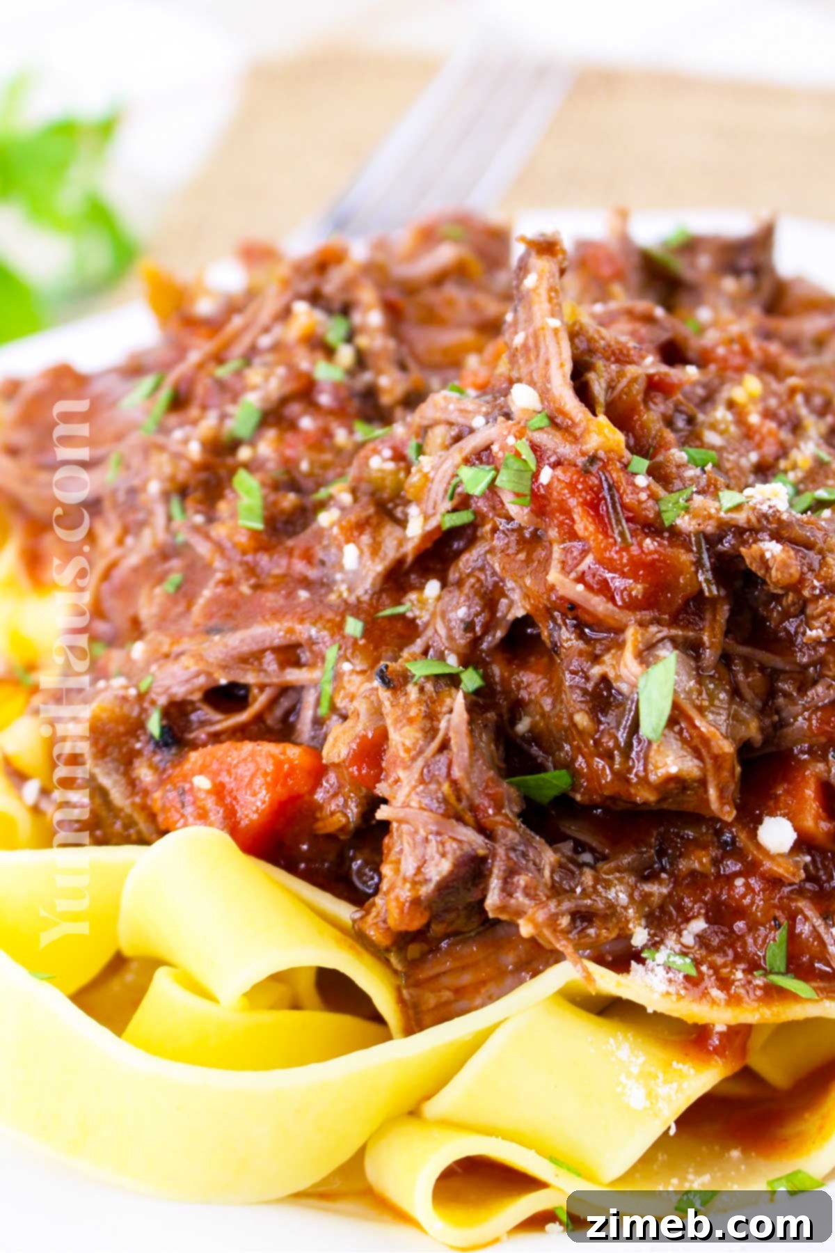 Slow-Braised Beef Short Rib Ragu 2 Beef Short Rib Ragu, a hearty Italian comfort food dish with tender beef and rich tomato sauce served over pasta