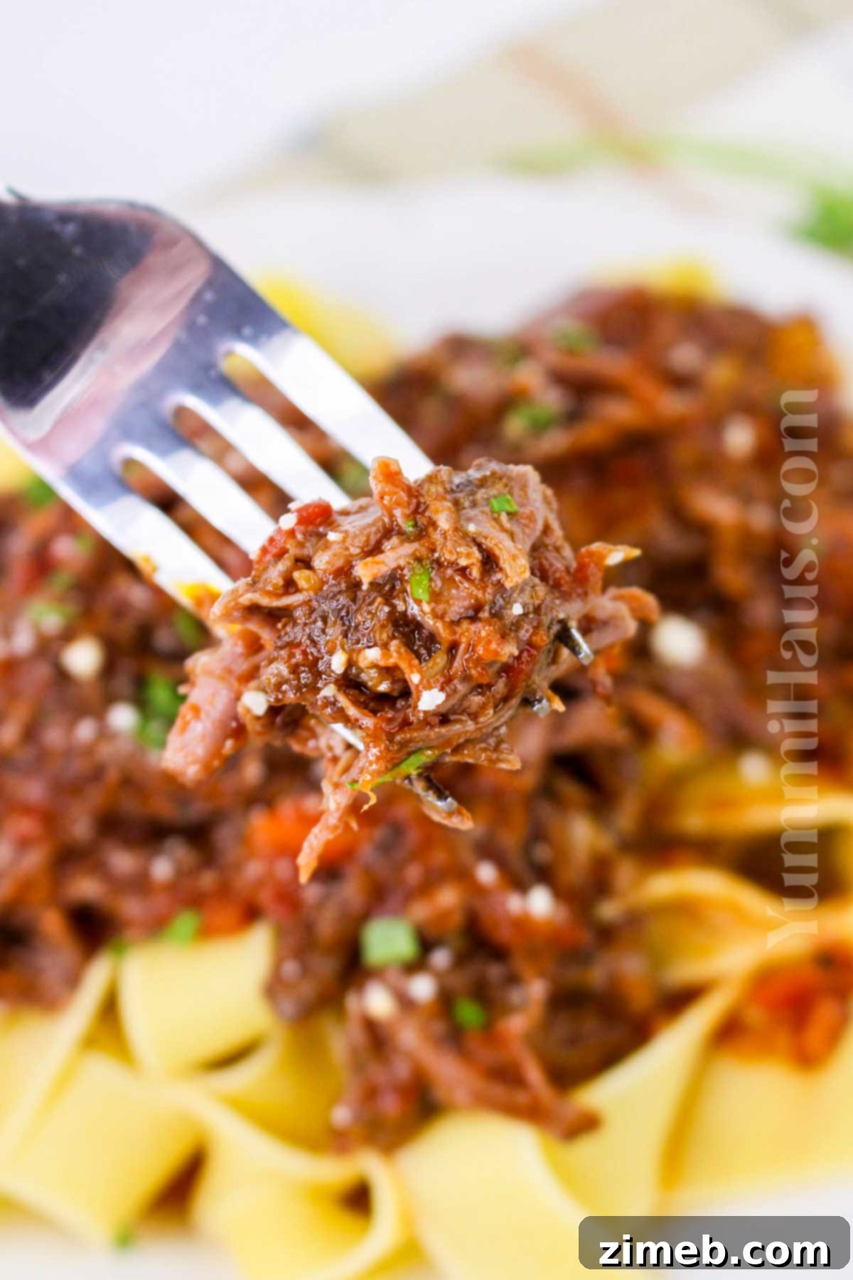 Slow-Braised Beef Short Rib Ragu 3 Close-up of Beef Short Rib Ragu recipe showcasing the rich sauce and tender beef