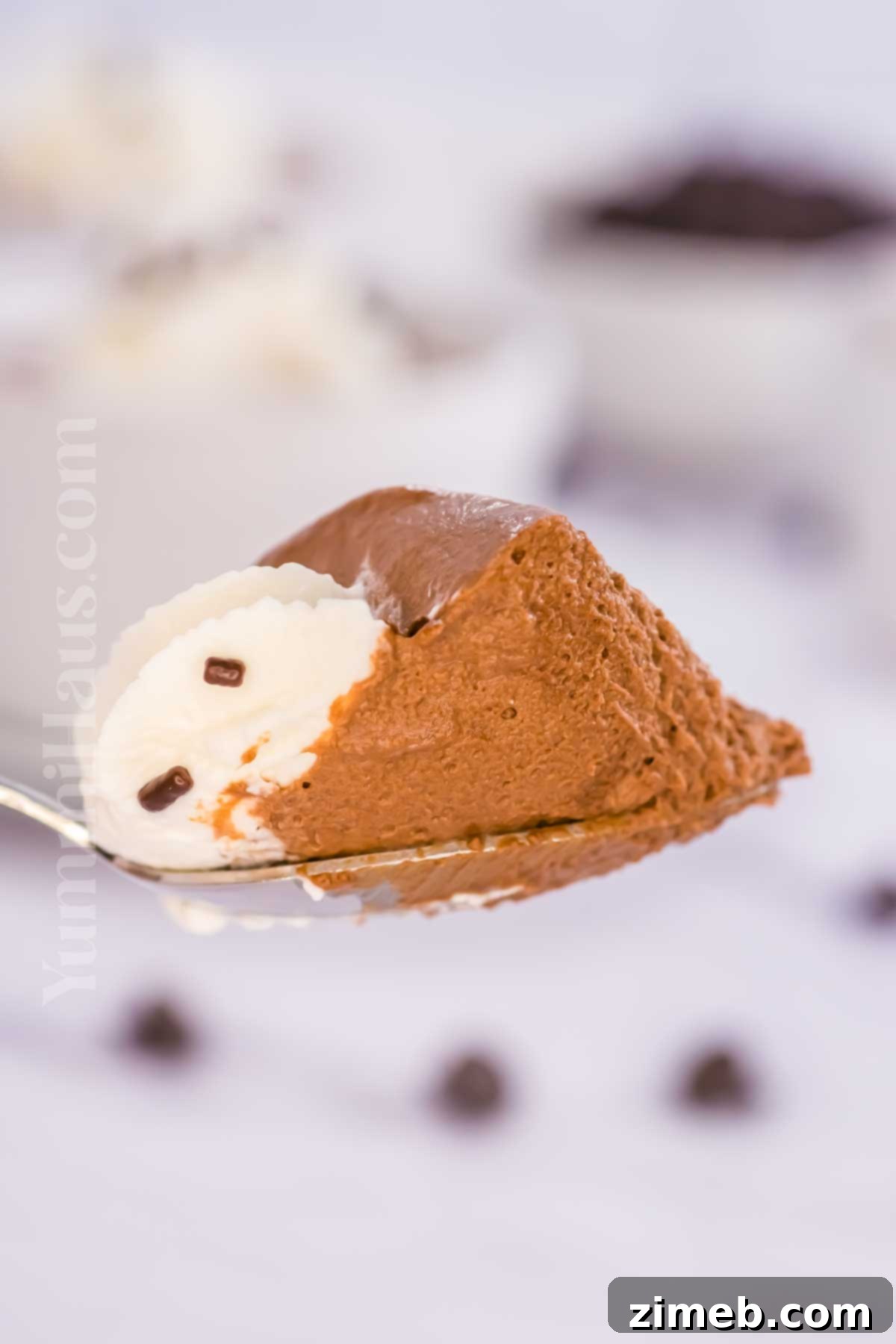 Chocolate dessert with whipped cream and sprinkles.