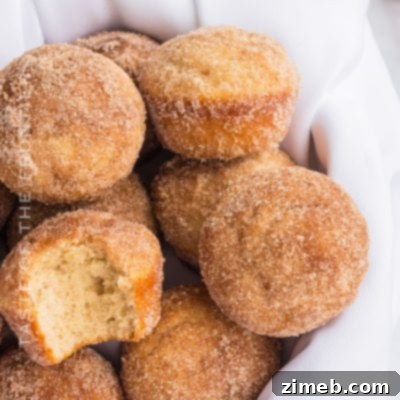 Easy Cinnamon Sugar Muffins