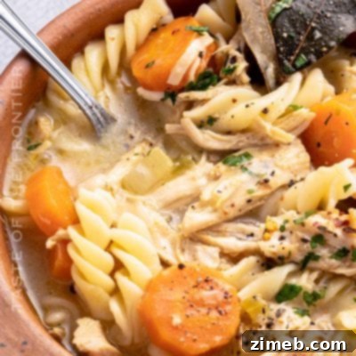 Chicken Noodle Soup