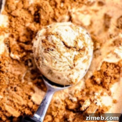 Pumpkin Pie Ice Cream
