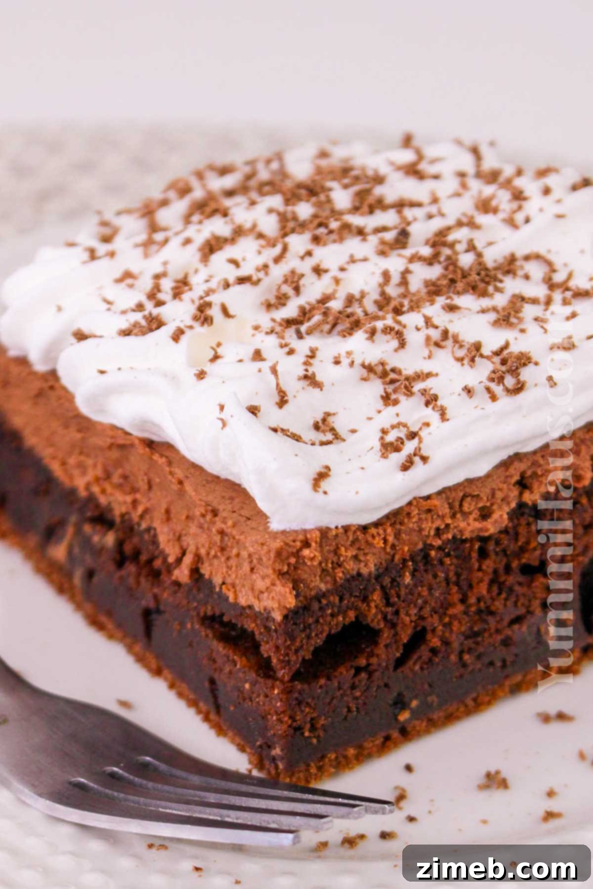 Decadent Double Chocolate Mousse Cake 14 chocolate lovers dessert