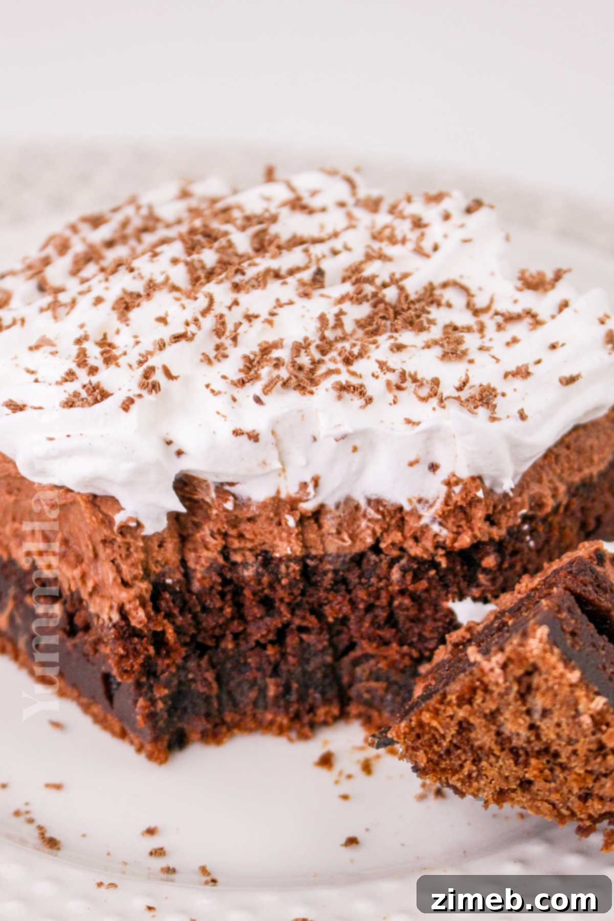 Decadent Double Chocolate Mousse Cake 15 Chocolate Chocolate Mousse Cake recipe