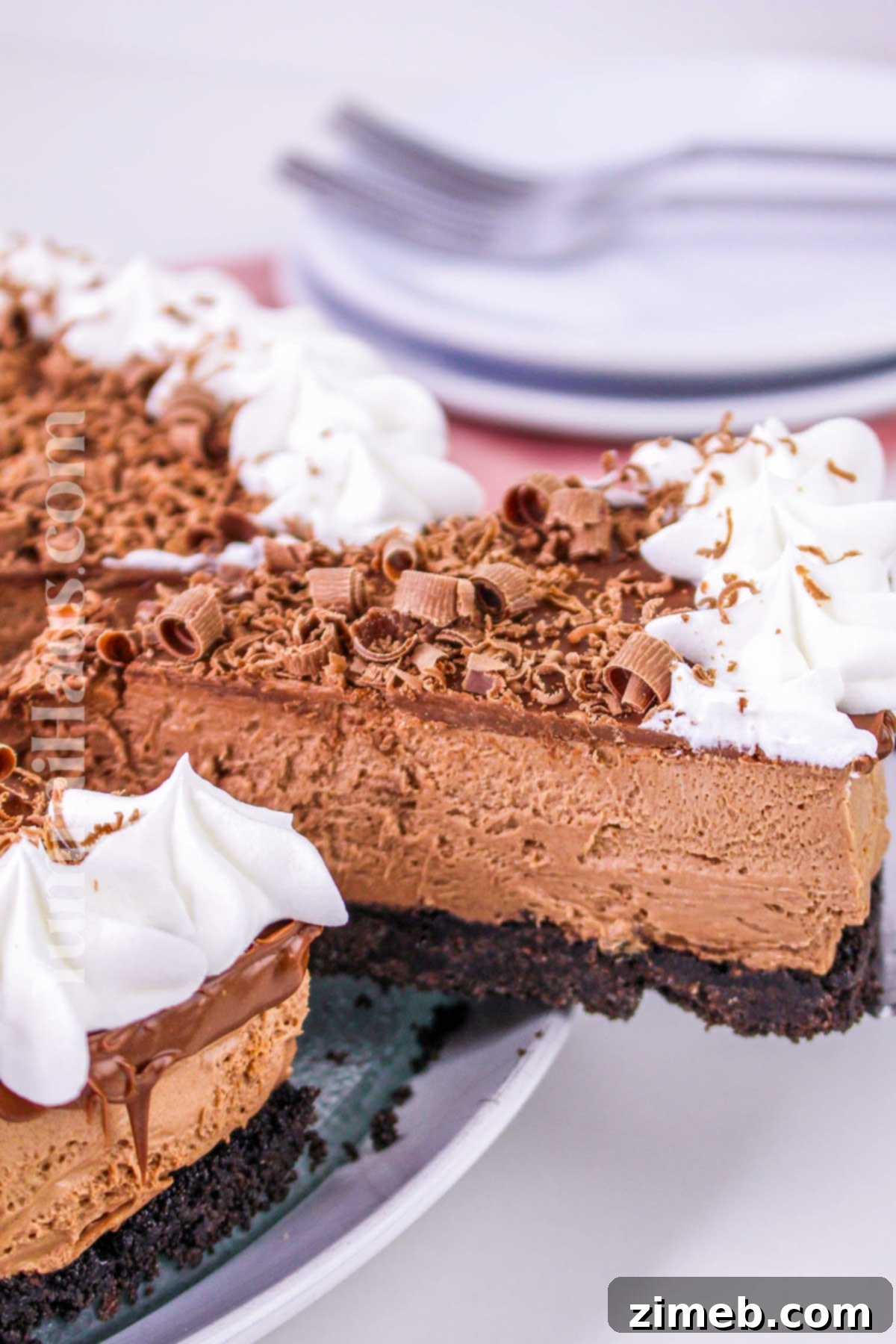 Slice of No-Bake Chocolate Cheesecake