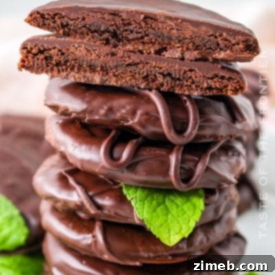 Crispy Vanilla Wafers 12 Copycat Thin Mint Cookies