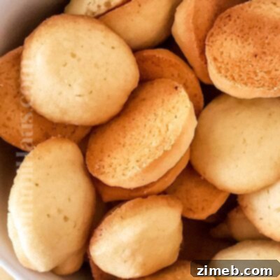 Vanilla Wafers
