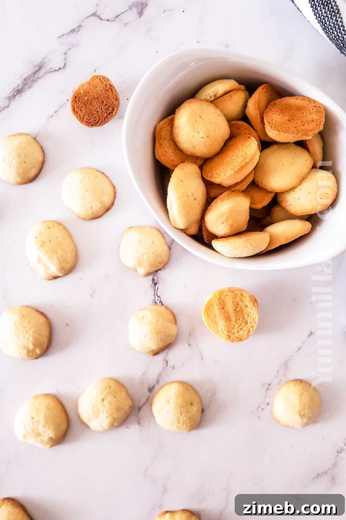 Crispy Vanilla Wafers 3 homemade vanilla cookies
