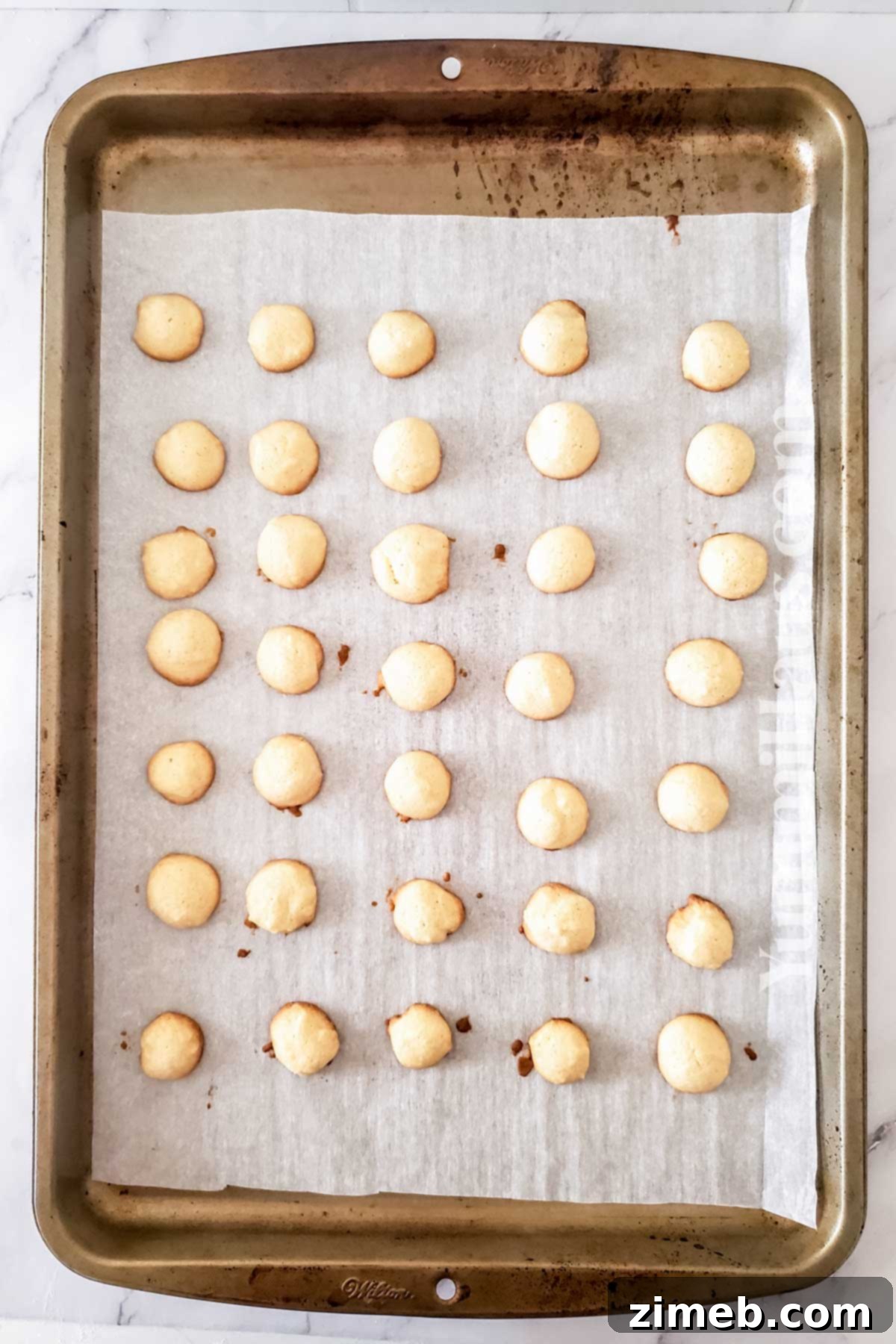 Crispy Vanilla Wafers 7 baked wafer cookies
