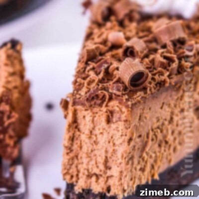 No-Bake Chocolate Cheesecake