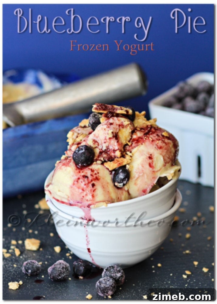 Blueberry Pie Frozen Yogurt, a delightful homemade dessert perfect for summer