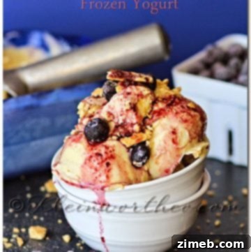 Ingredients for Blueberry Pie Frozen Yogurt laid out before mixing