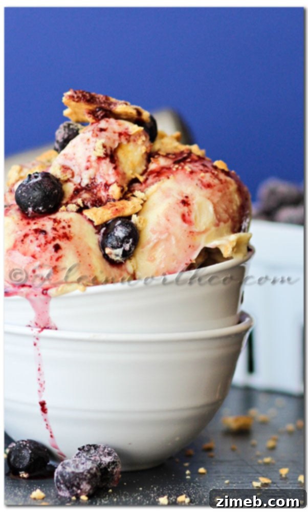 Close-up of freshly scooped Blueberry Pie Frozen Yogurt with visible graham cracker pieces