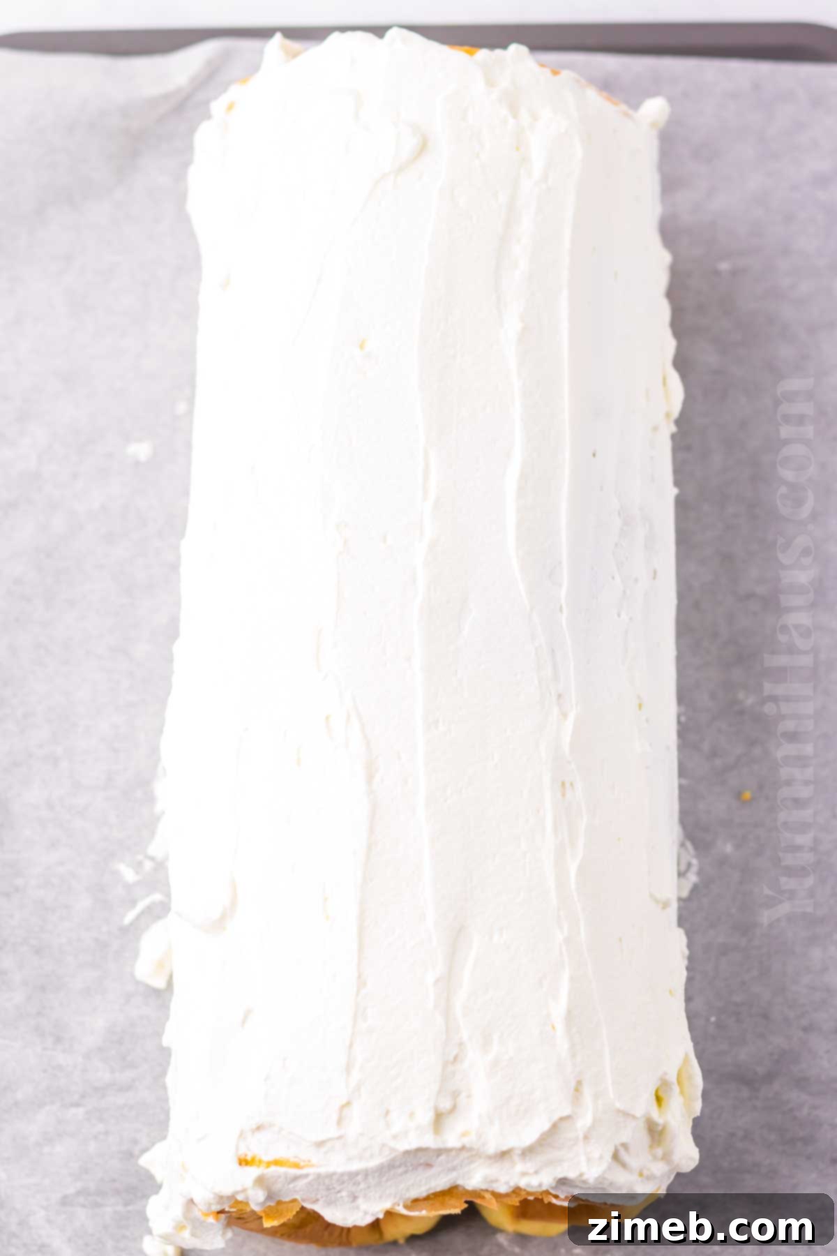 Christmas Yule Log 7 Frosted Christmas Cake Roll ready for decoration