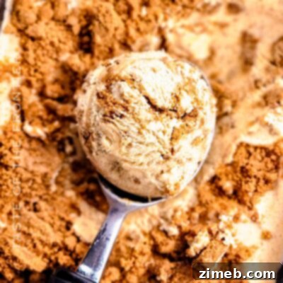 Cheesecake Factory-Inspired Pumpkin Cheesecake 13 Pumpkin Pie Ice Cream