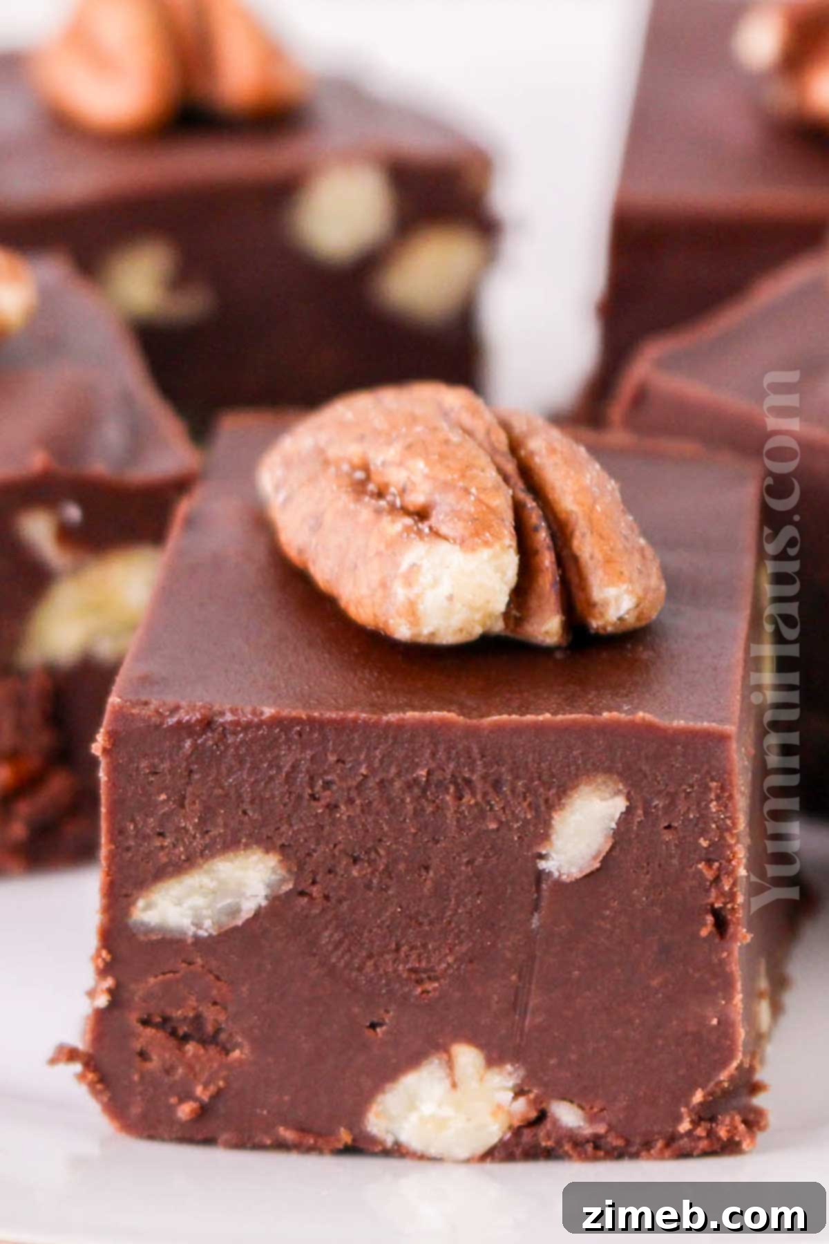 holiday treat with chocolate and walnuts