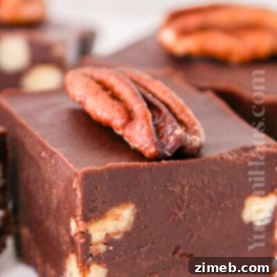 Fudge with Chocolate Frosting