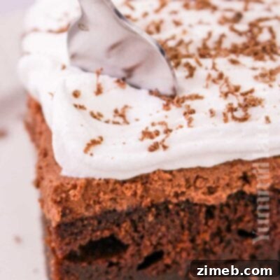 Chocolate Chocolate Mousse Cake