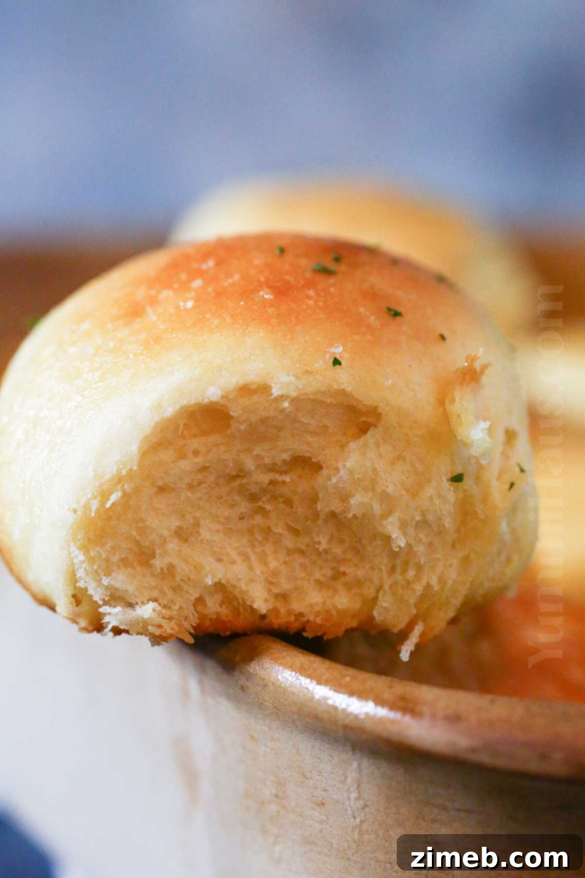 Fluffy Hawaiian Sweet Rolls 9 side dish bread rolls