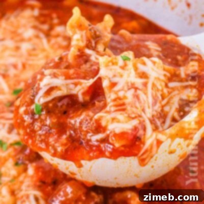 Hearty Chicken and Sausage Gumbo 13 One-Pot Lasagna Soup