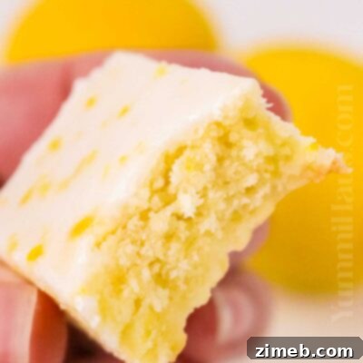 Sunshine Lemon Cookie Bars 16 Lemon Cookie Bars