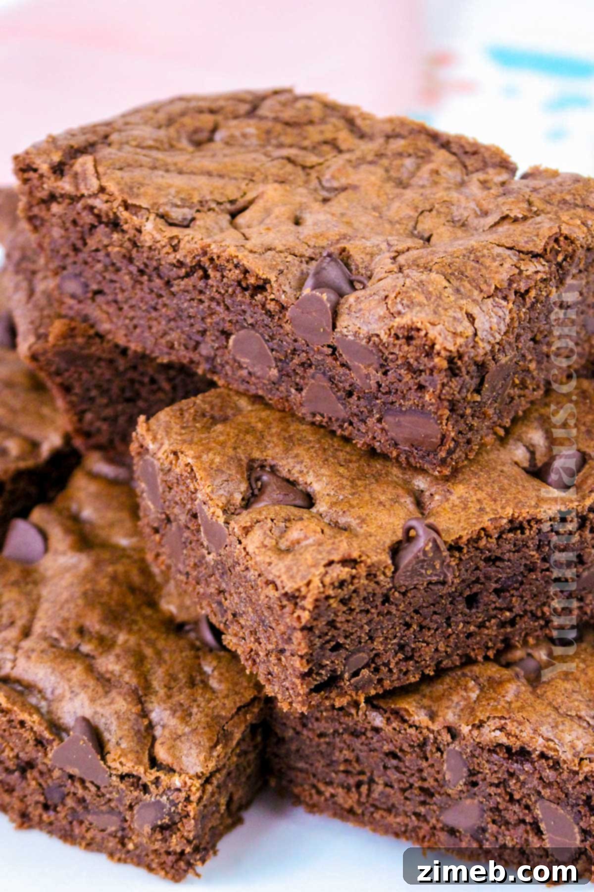 Fudgy Chocolate Chocolate Chip Cookie Bars recipe, showcasing the rich texture and melted chocolate